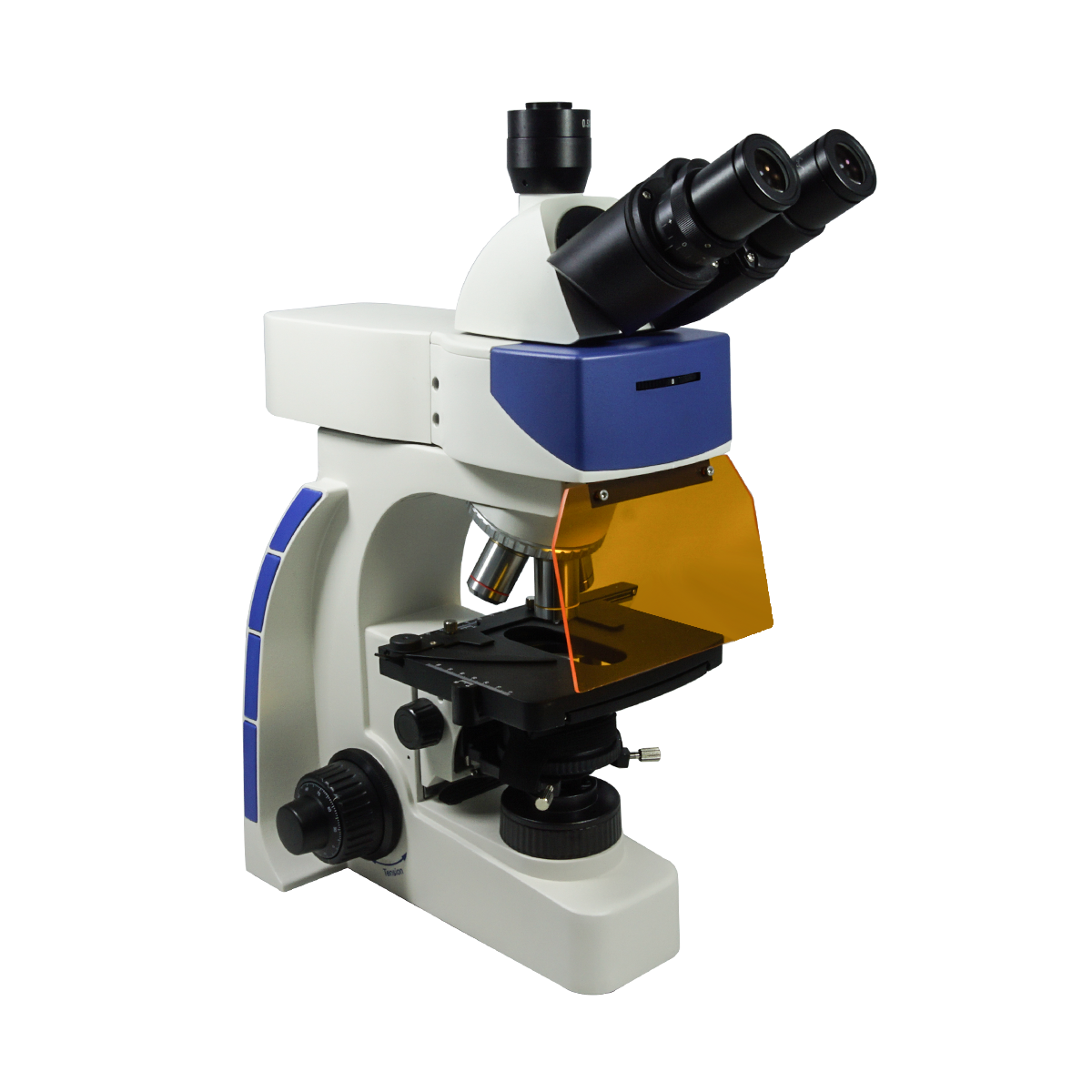 Fluorescence Microscope